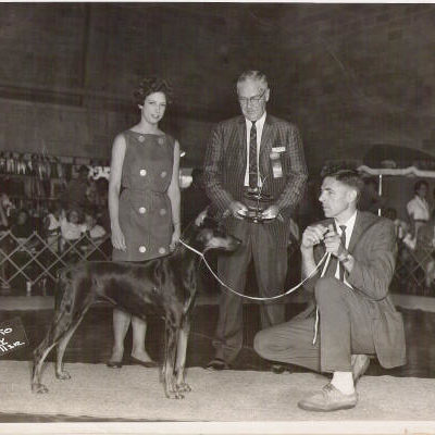 Brown's Walkaway Airily