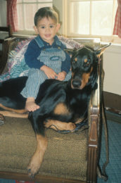 Walkaways Midnite Cinderella