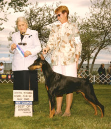 Walkaways Thunder Rolls