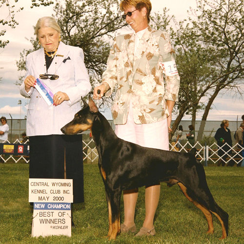 Walkaways Thunder Rolls