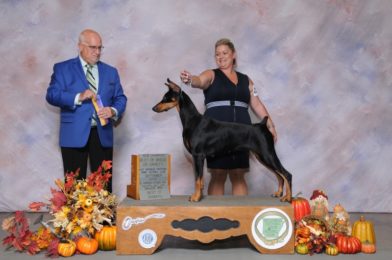 WALKAWAY N VONDURA CALENDAR GIRL