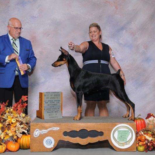 WALKAWAY N VONDURA CALENDAR GIRL