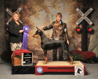 Walkaway n Vondura Front Page