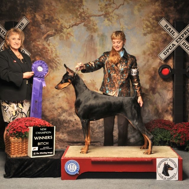 Walkaway n Vondura Front Page