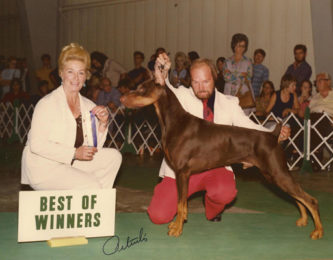 Walkaway's Trace Of Fire