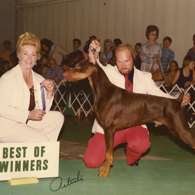 Walkaway's Trace Of Fire